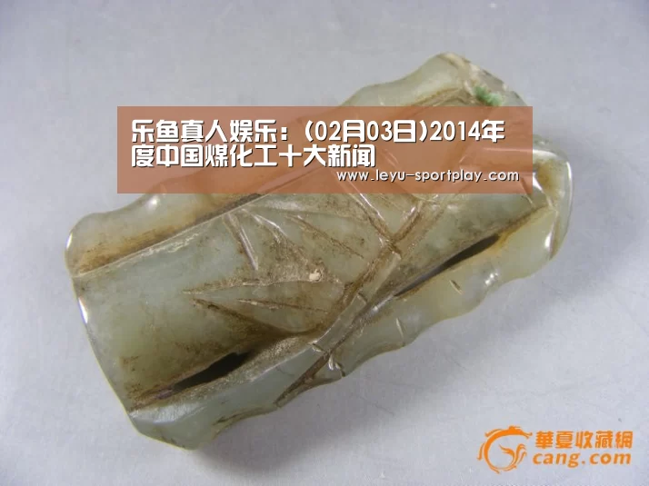 乐鱼真人娱乐